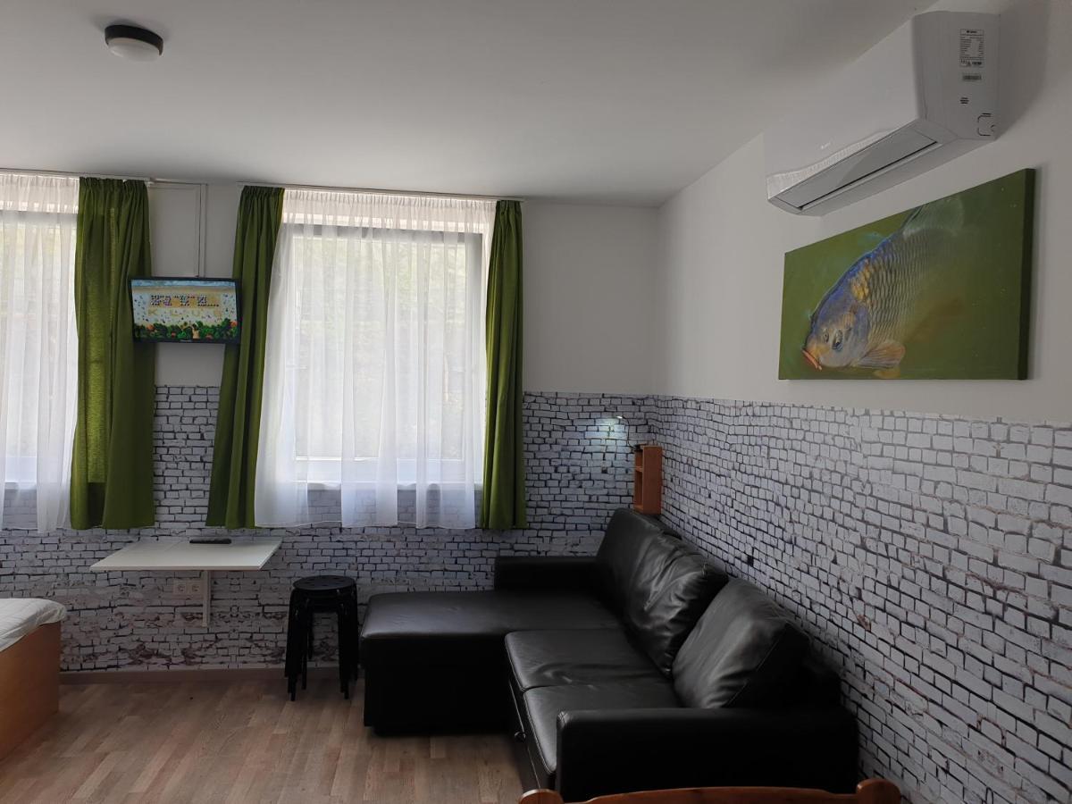 Bed and breakfast Kid Familia Panzio Balatonszarszo Extérieur photo